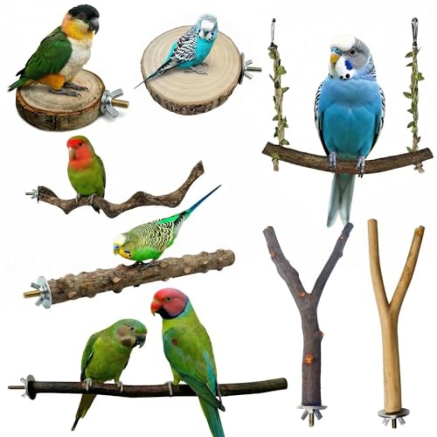 8PCS natural wood bird perches - Health & Wellness Photos recension och pris